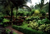 Thumbs/tn_Arenal Hot Springs.jpg